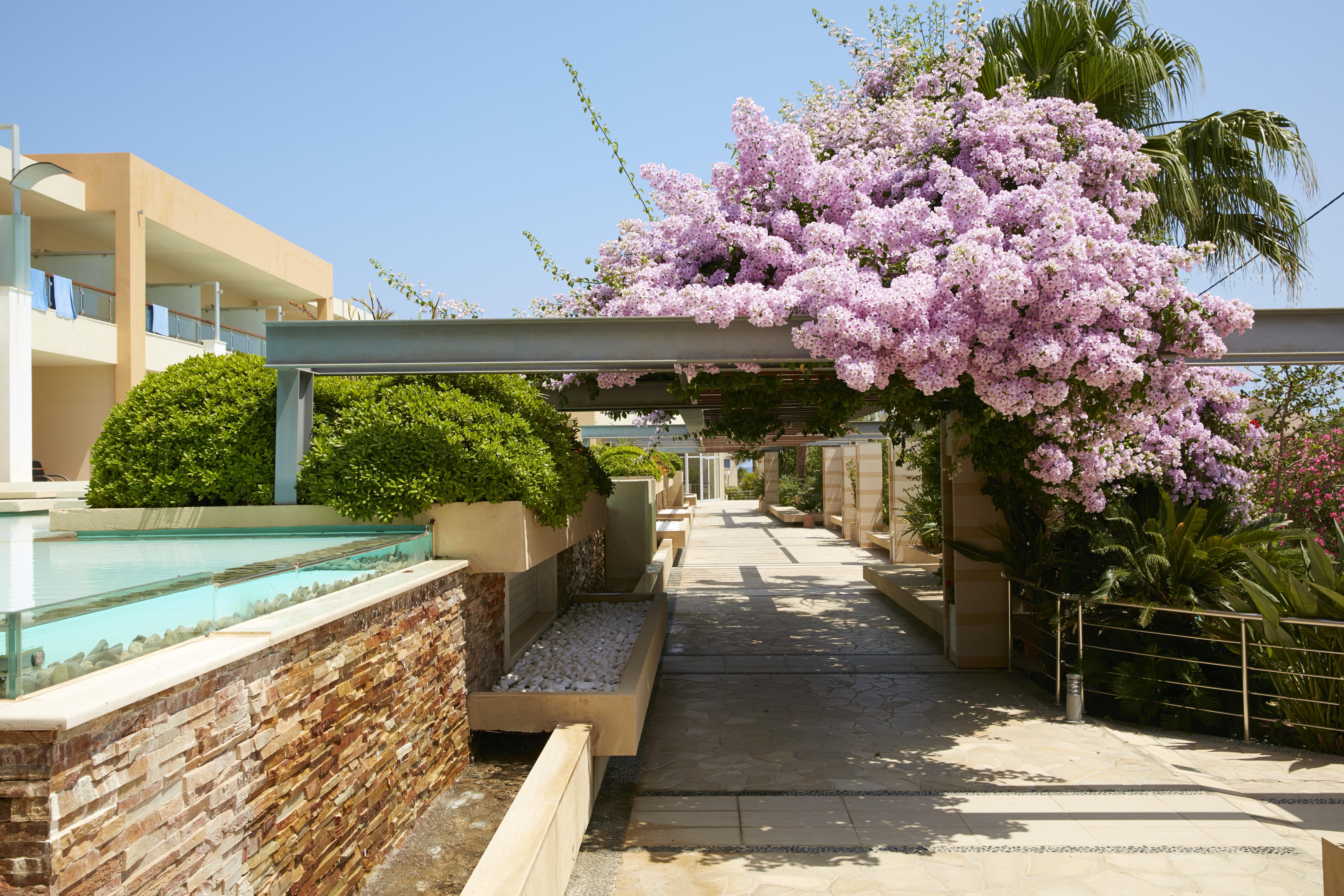 Minoa Palace Resort Платаньяс Экстерьер фото